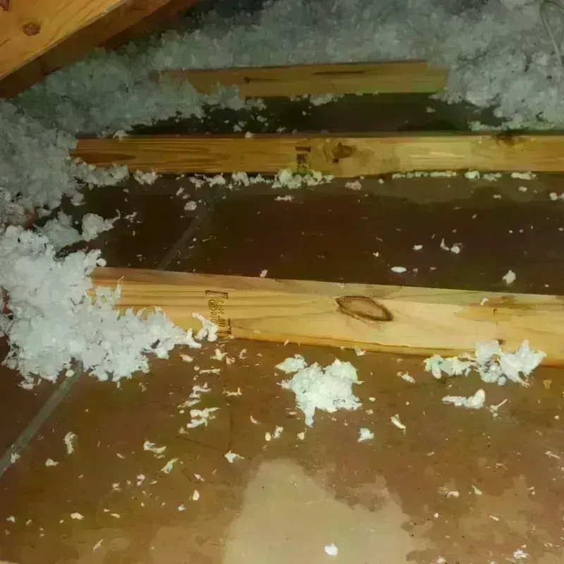 Attic Water Damage in Aledo, TX