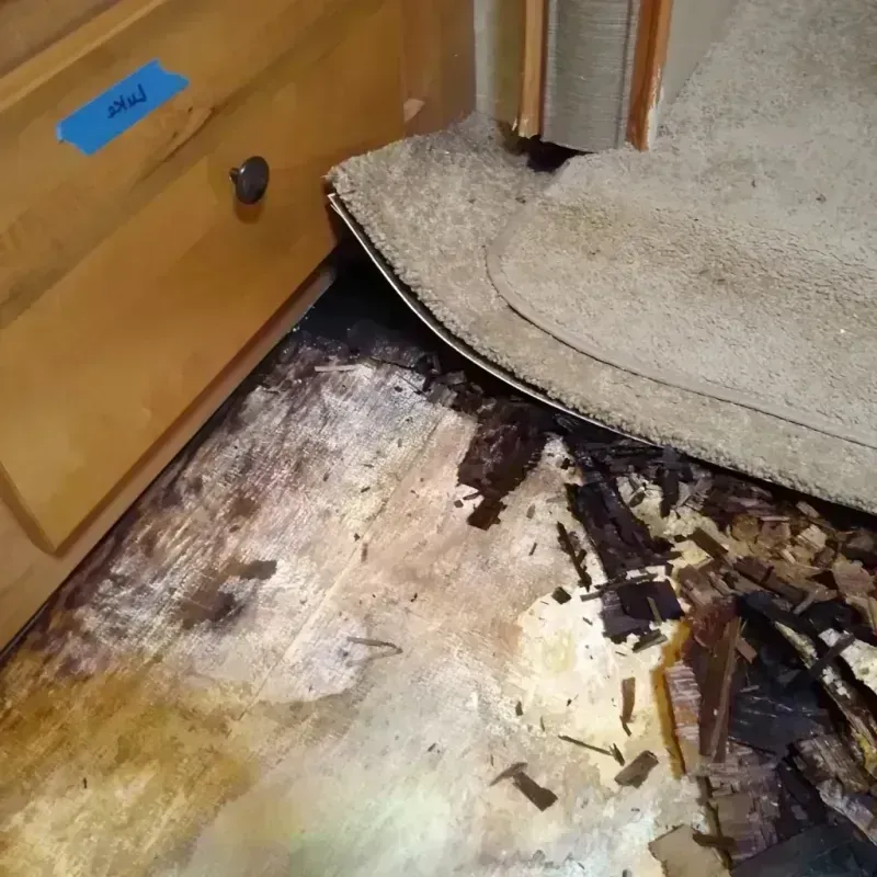 Best Wood Floor Water Damage Service in Aledo, TX